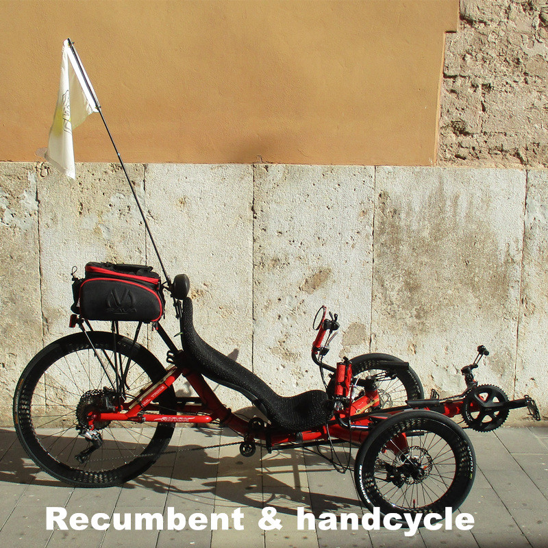 Recumbent & handcycle
