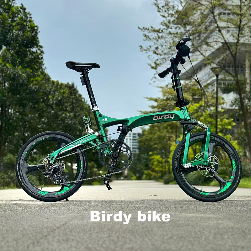 Birdy bike